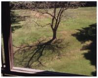 Morning, Window and Garden at Ricker House, Grinnell, Iowa