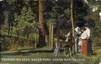 Feeding the deer, Bever Park, Cedar Rapids, Iowa