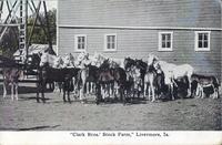 Clark Brothers' Stock Farm, Livermore, Iowa