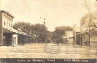 Scene on Mulberry Streets, Little Sioux, Iowa