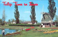 Tulip Time in Iowa, Pella, Iowa