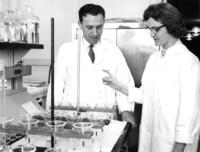 Lab Work, 1961