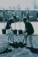 Two People Planting a Tree