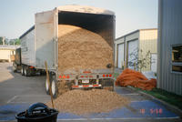Truck delivering wood chips