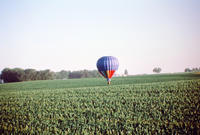 Hot Air Balloon in Field