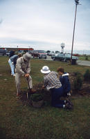 Three People Planting a Shrub