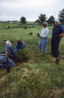 Four People Planting a Tree