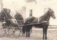 Emery S. Bartlett in horse-drawn buggy