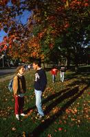 Students on an Autumn Day