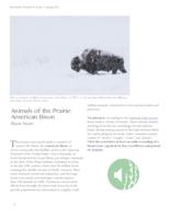 Animals of the Prairie