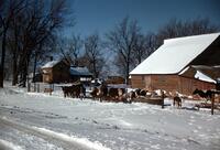 Winter on the Farm