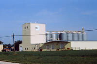 Cargill Factory