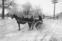 Rural Mail Carrier