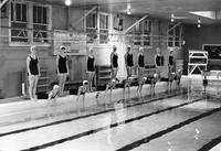 Women's Swimming, 1965-1966