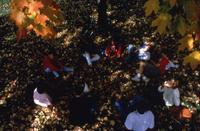 item thumbnail for A Circle of Students Sit Beneath a Tree in the Fall